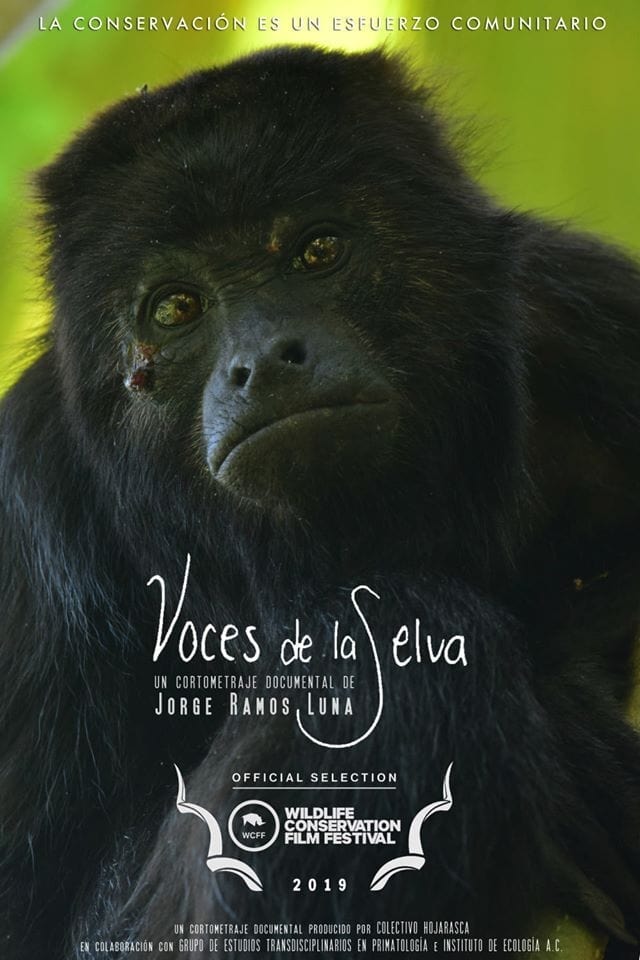 Voces de la Selva | Voces de la Selva