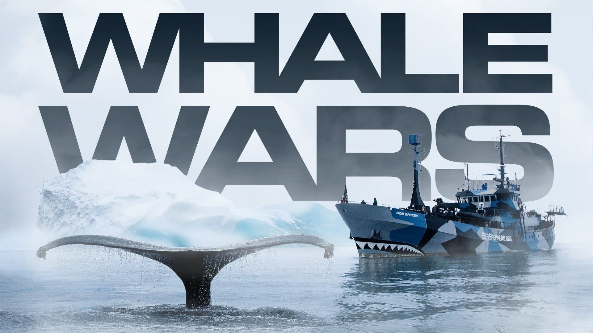 Whale Wars|Whale Wars