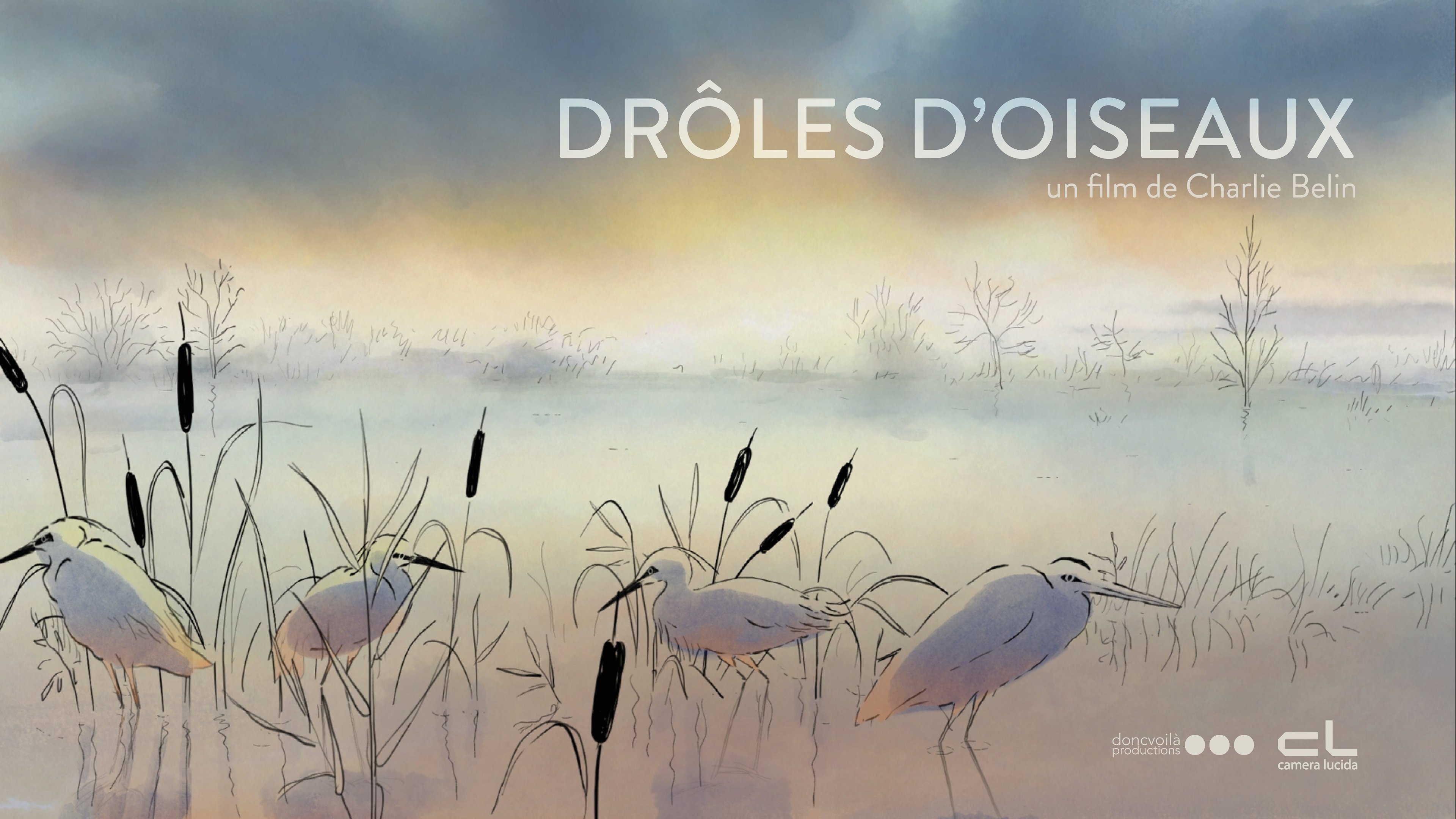 Drôles d'oiseaux|Drôles d'oiseaux