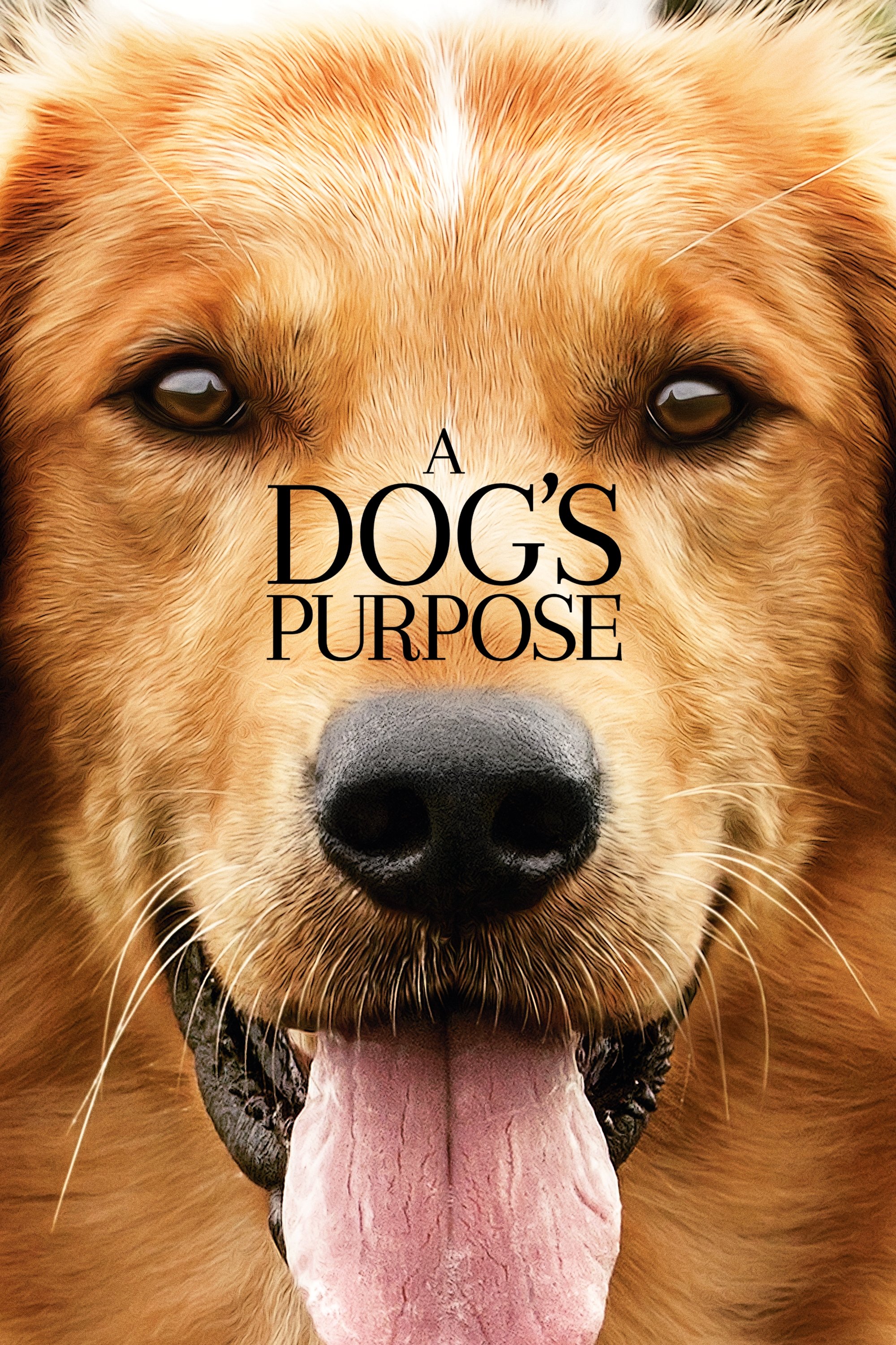 A Dog's Purpose | A Dog's Purpose