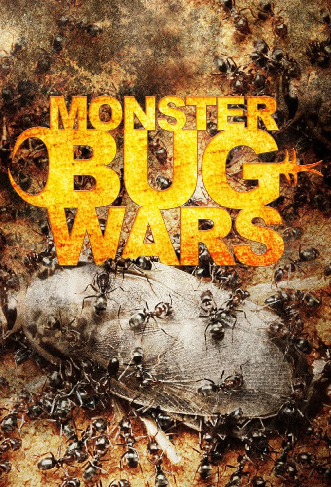 Monster Bug Wars | Monster Bug Wars