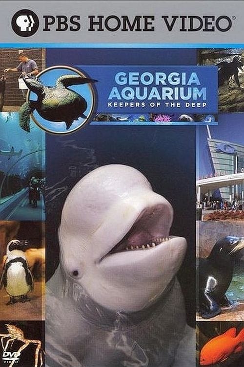 Georgia Aquarium - Keepers of the Deep | Georgia Aquarium - Keepers of the Deep