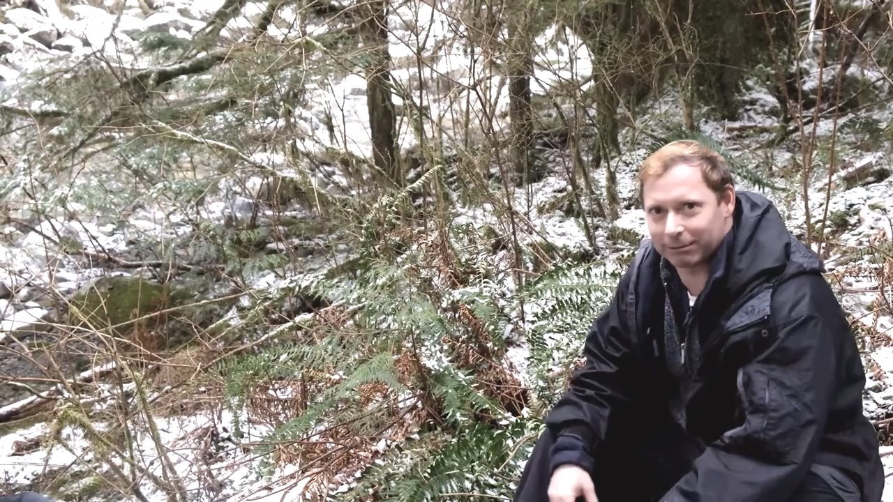 Searching for Sasquatch Chapter II  The Watchers|Searching for Sasquatch Chapter II  The Watchers
