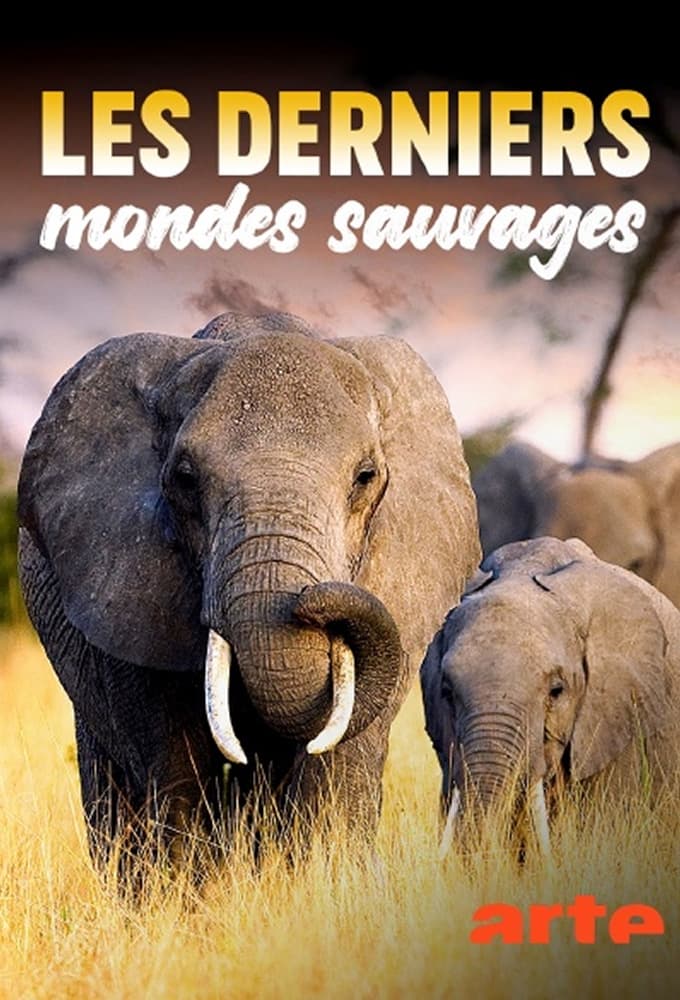 Les Derniers Mondes Sauvages | Les Derniers Mondes Sauvages