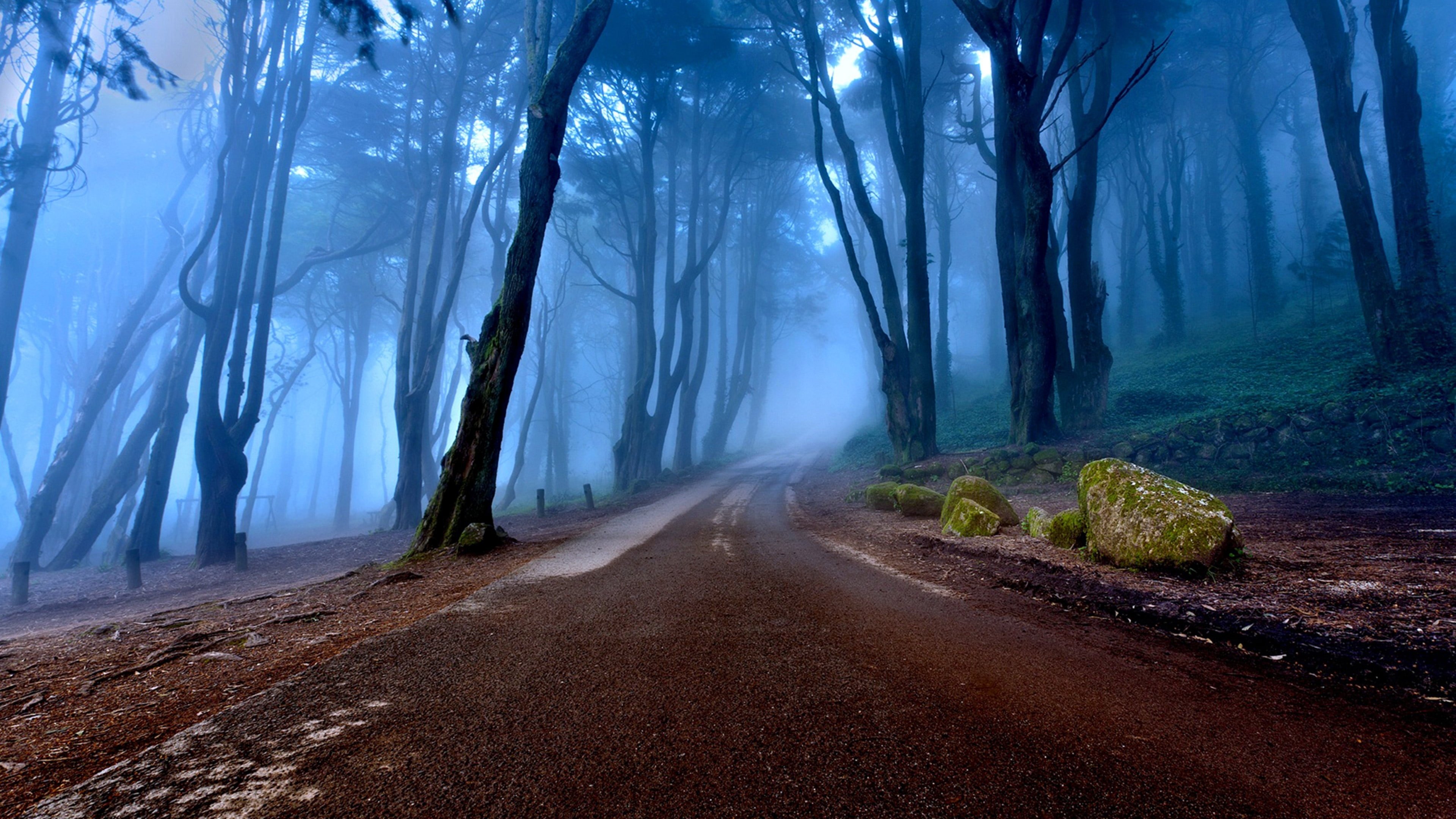 These Woods Are Haunted|These Woods Are Haunted