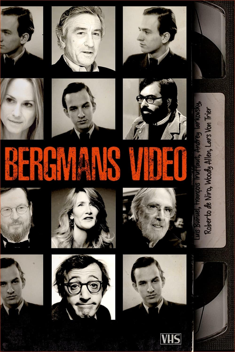 Bergmans video | Bergmans video