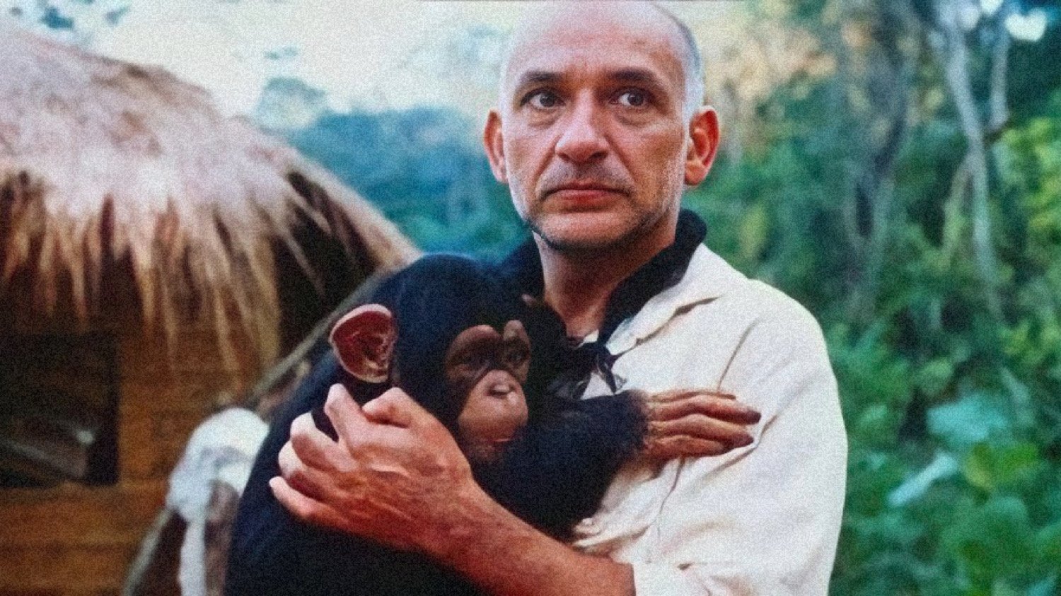 O Quinto Macaco|O Quinto Macaco