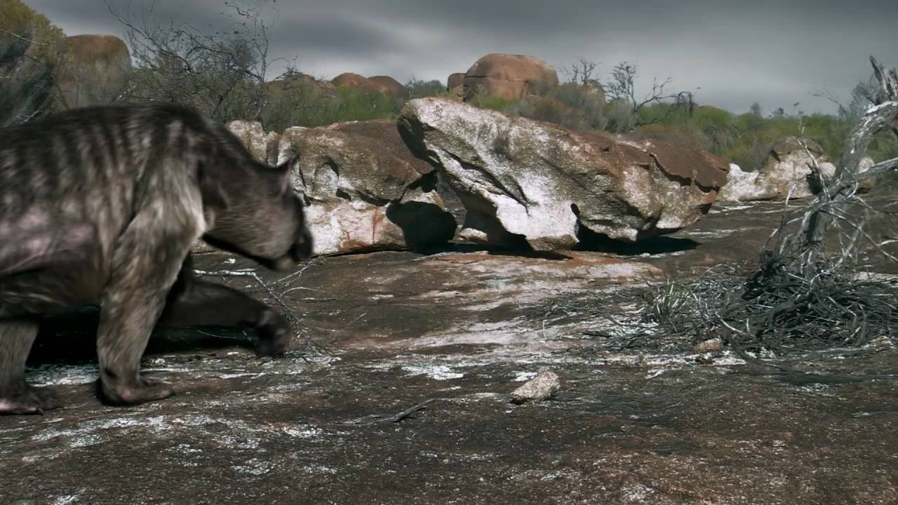 Death of the Megabeasts|Death of the Megabeasts