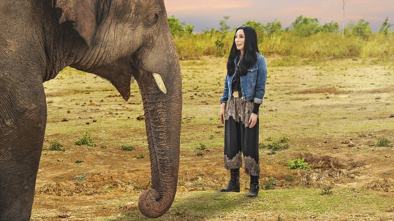 Cher & the Loneliest Elephant|Cher & the Loneliest Elephant