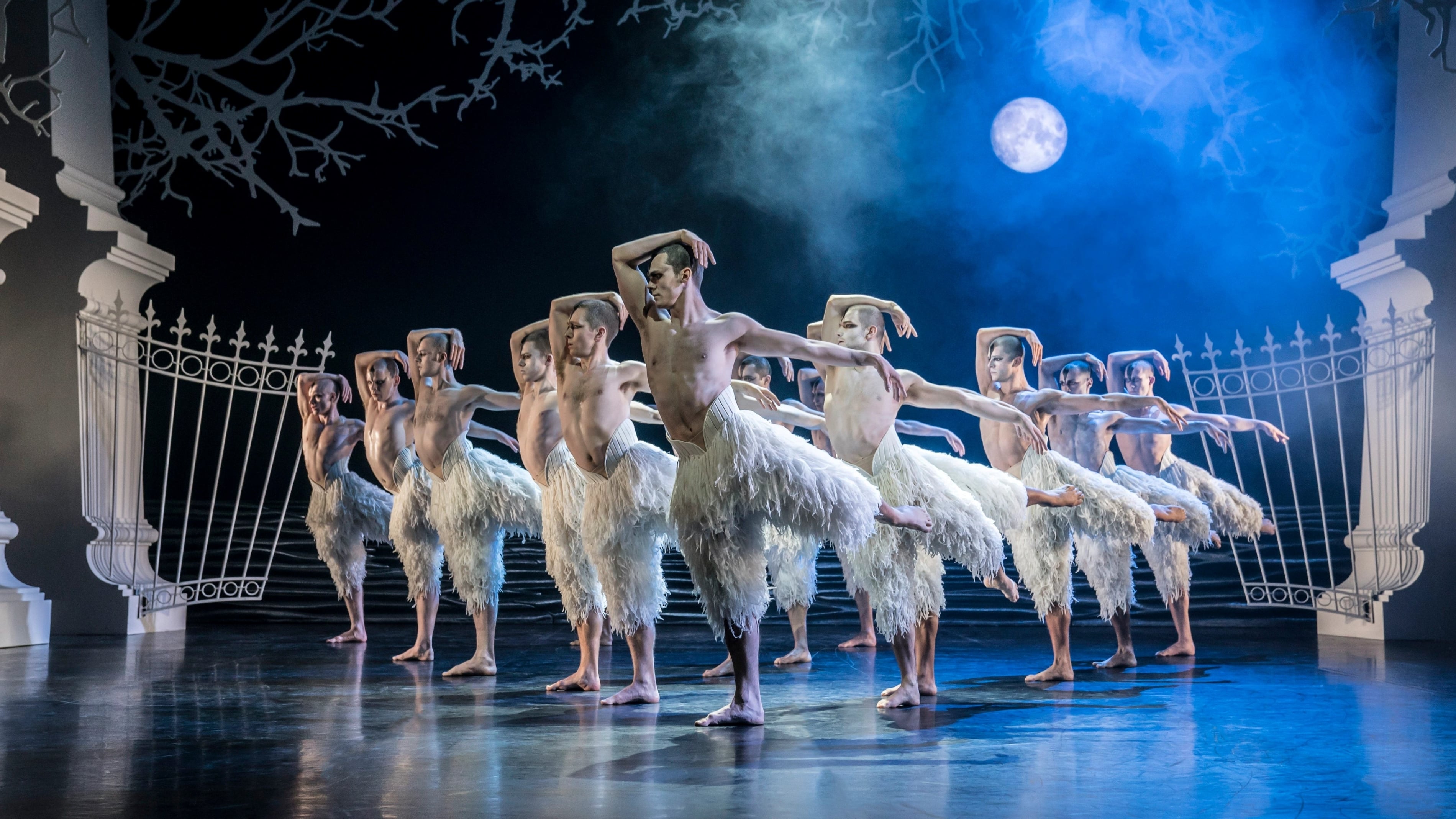 Matthew Bourne's Swan Lake|Matthew Bourne's Swan Lake