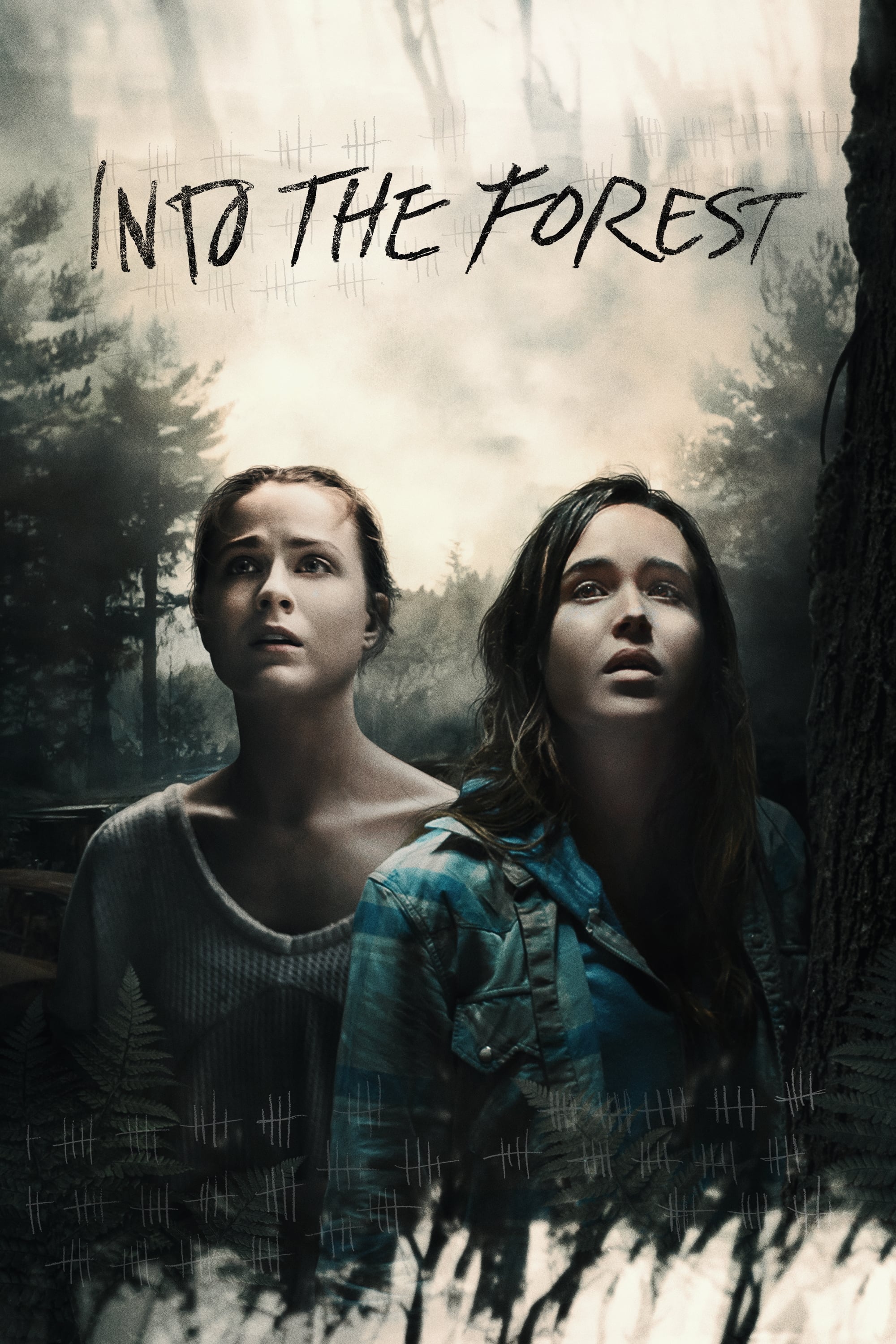 Into the Forest | Into the Forest