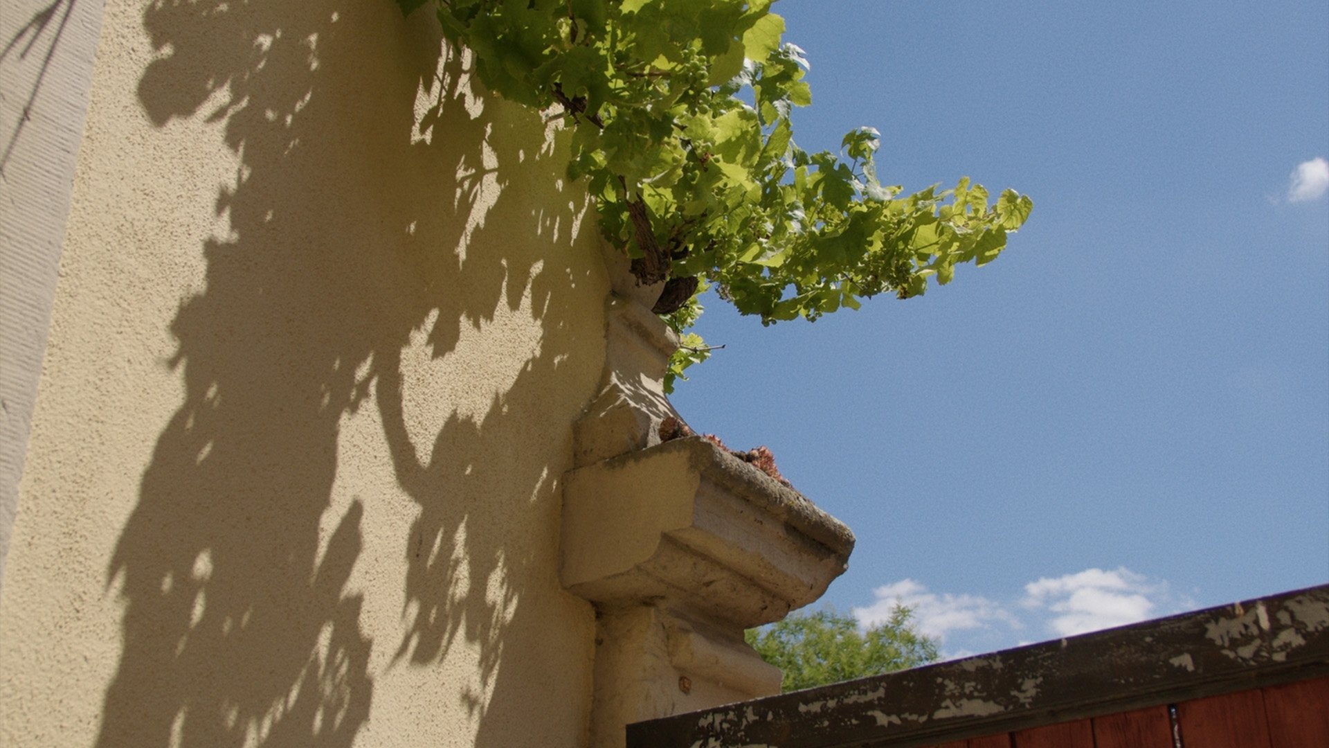 تصویر 1
