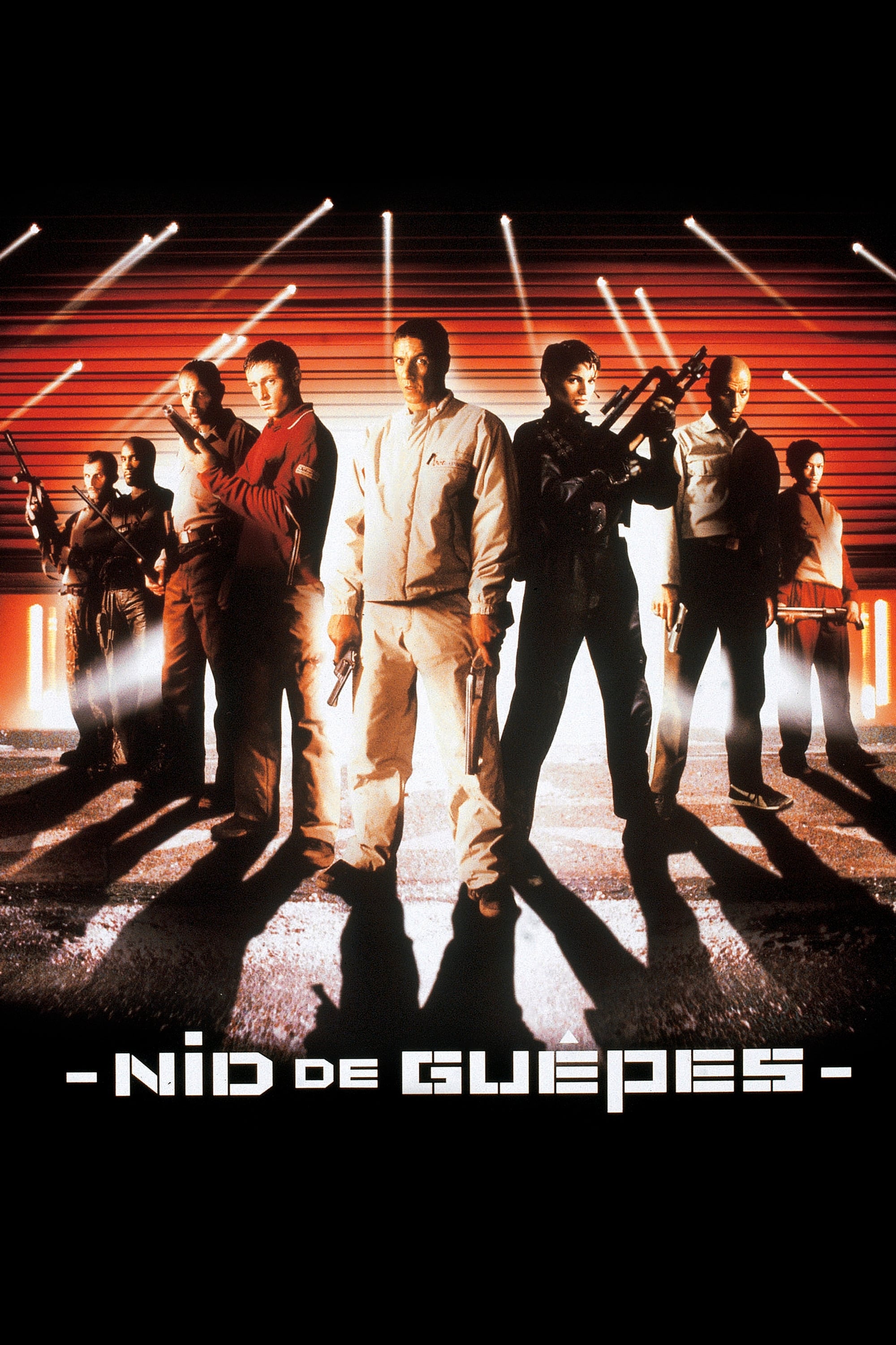 Nid de guêpes | Nid de guêpes