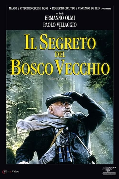 Il segreto del bosco vecchio | Il segreto del bosco vecchio