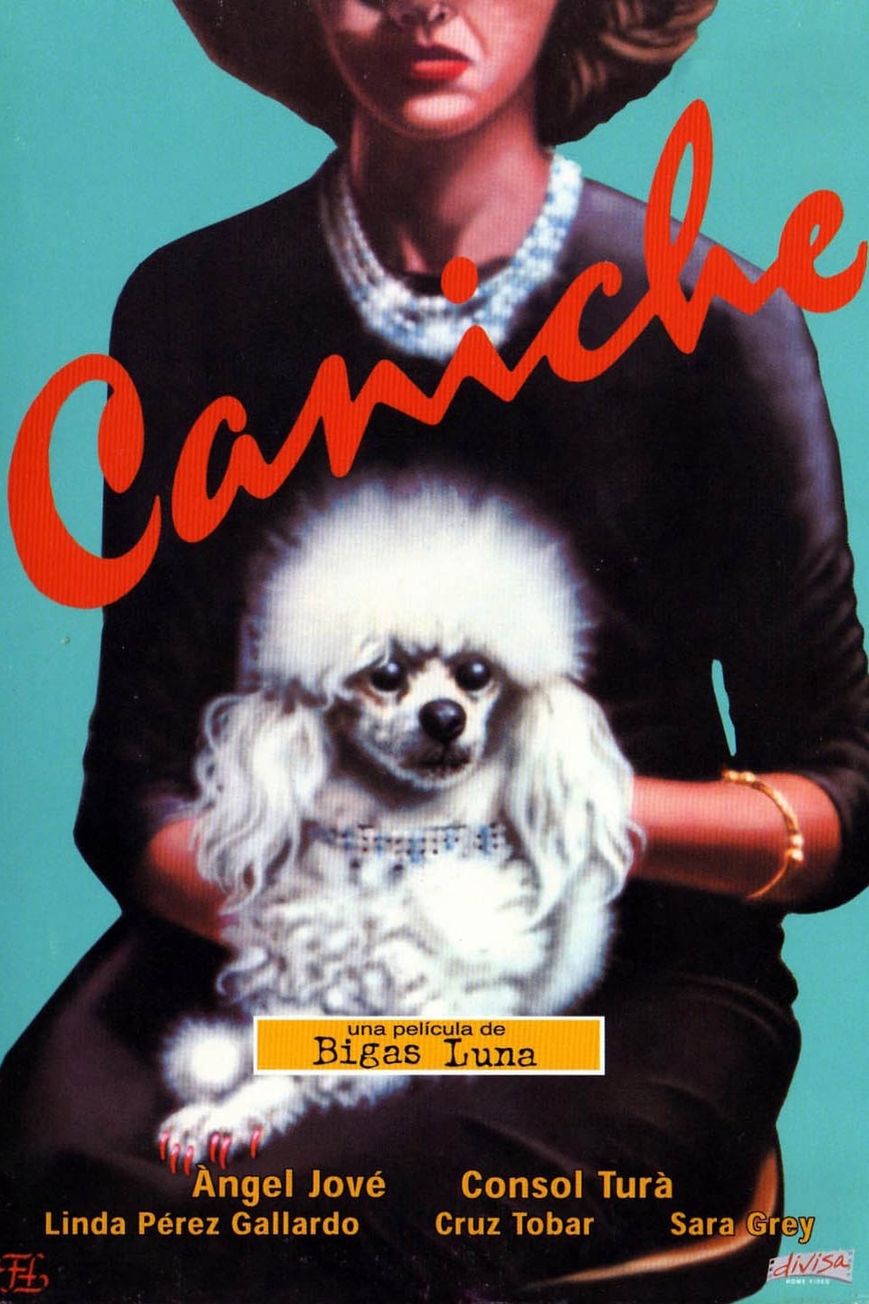 Caniche | Caniche