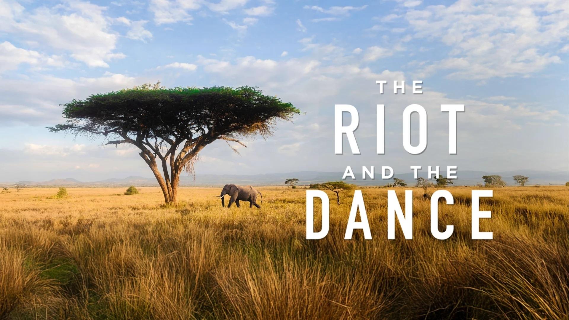 The Riot and the Dance|The Riot and the Dance