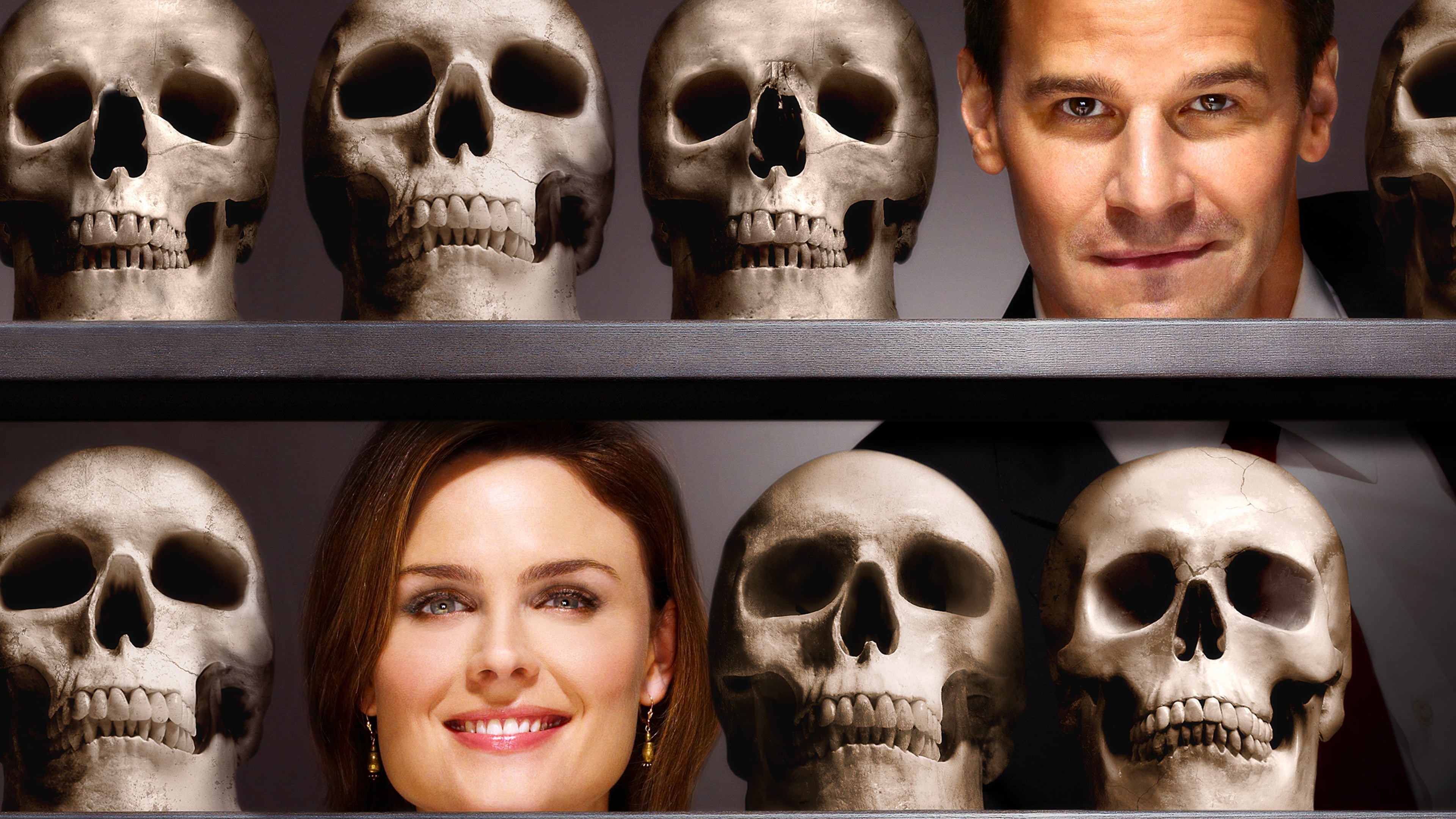 استخوانها|Bones