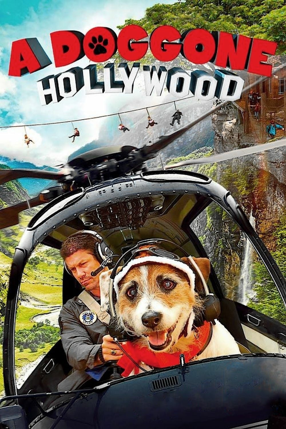 A Doggone Hollywood | A Doggone Hollywood