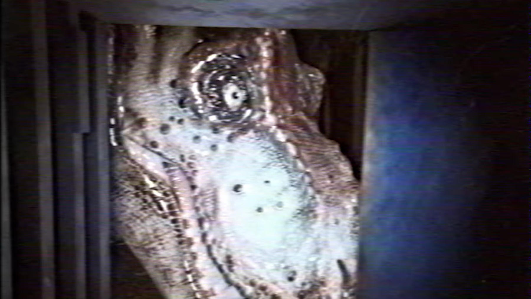 Jurassic Park - Found Footage: Outpost B|Jurassic Park - Found Footage: Outpost B