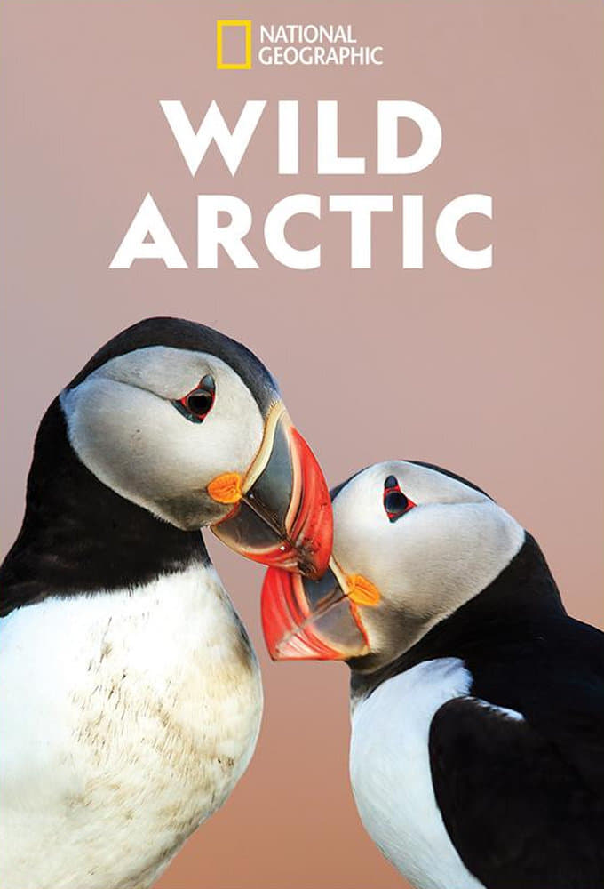 Wild Arctic | Wild Arctic