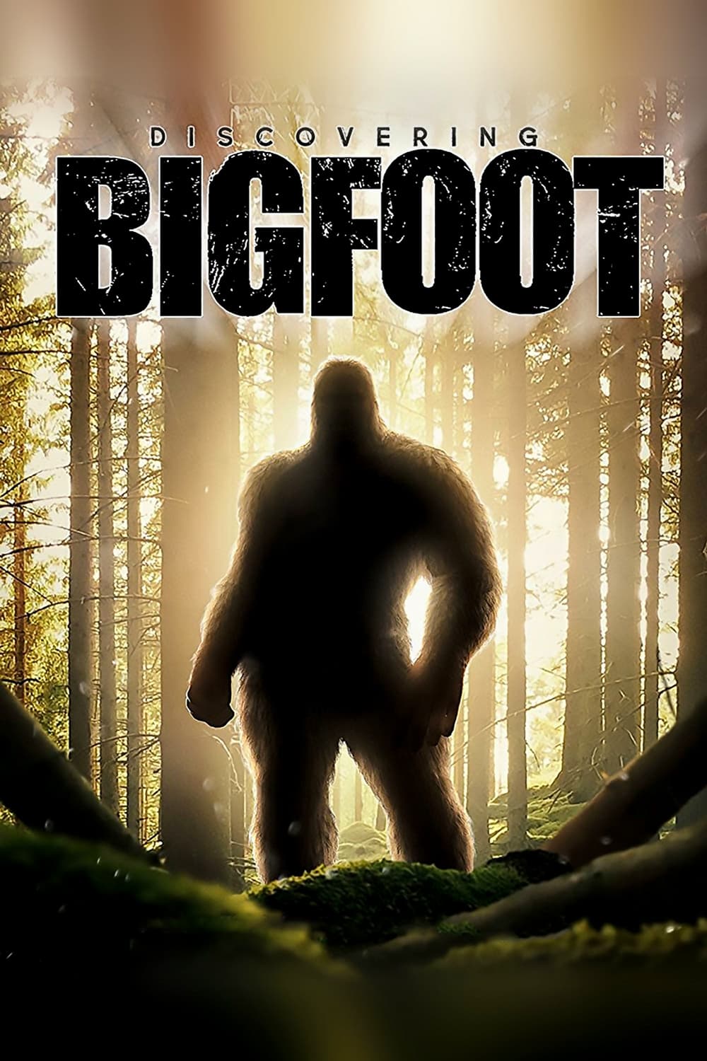 Discovering Bigfoot | Discovering Bigfoot