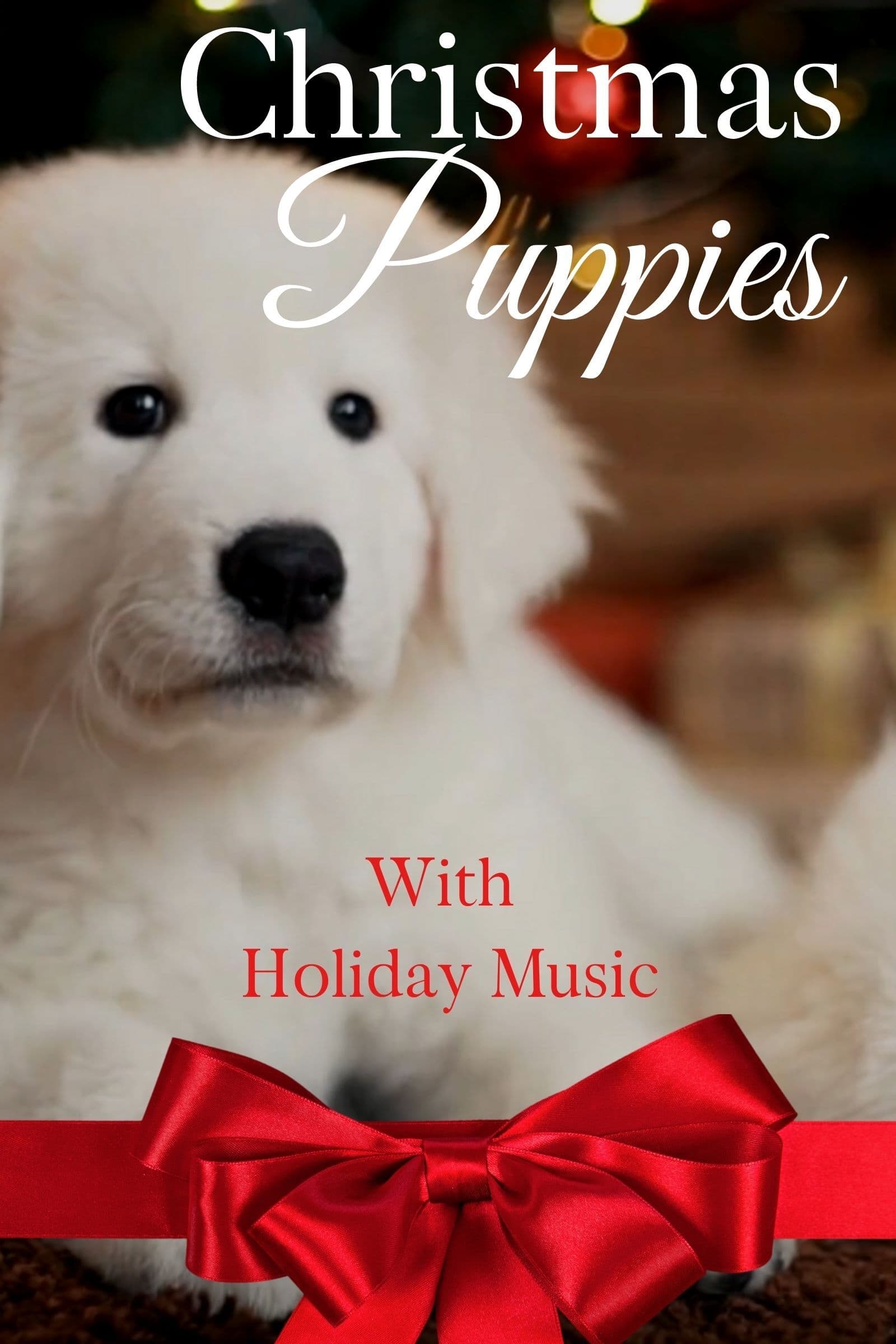 Christmas Puppies | Christmas Puppies