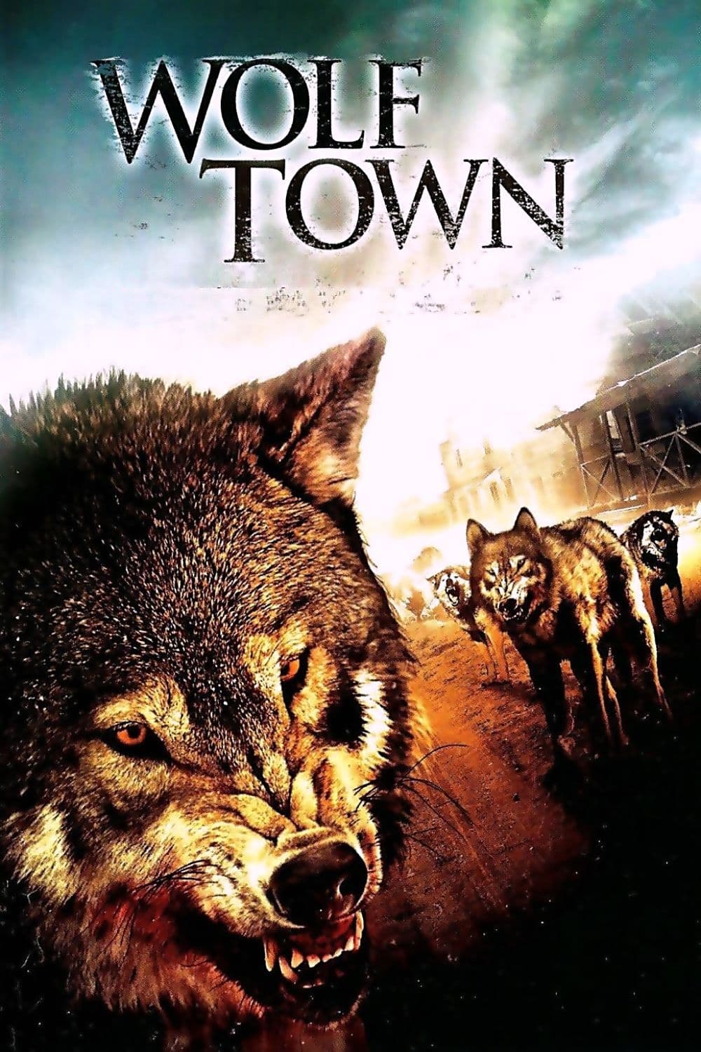 Wolf Town | Wolf Town