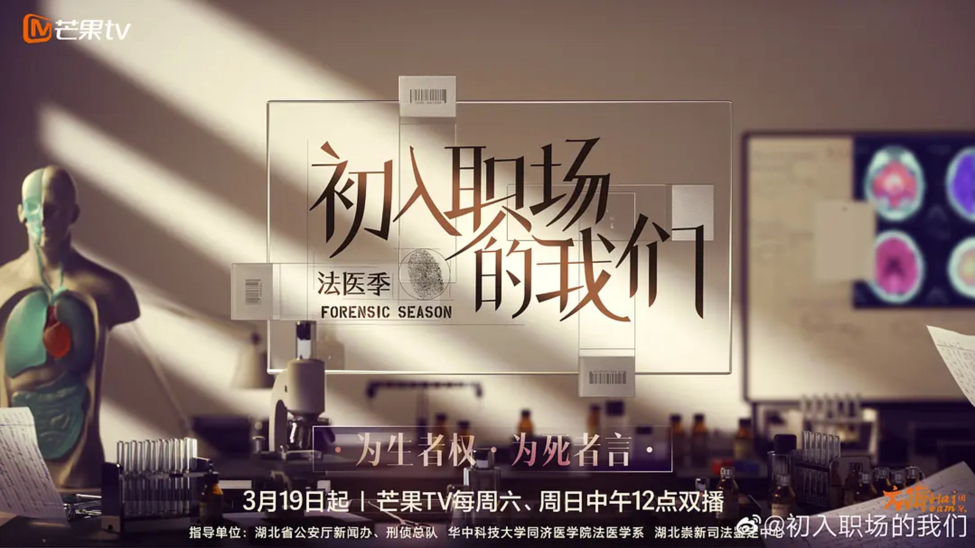 初入职场的我们|初入职场的我们