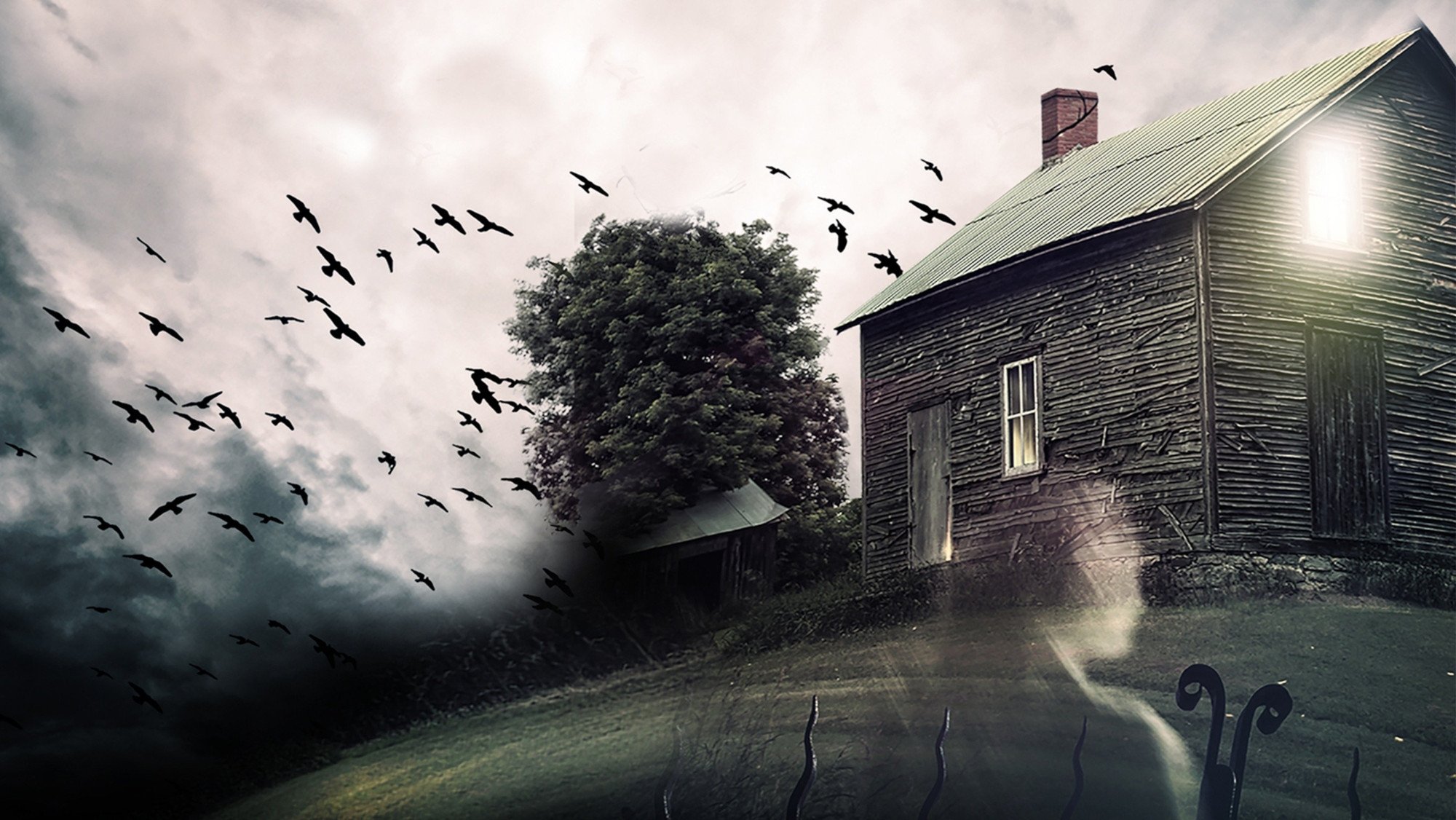 The House That Screamed|The House That Screamed
