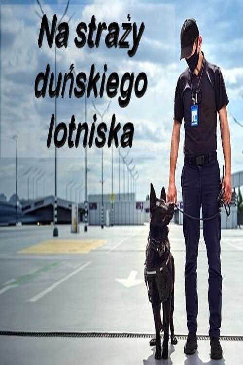 Na straży duńskiego lotniska | Na straży duńskiego lotniska