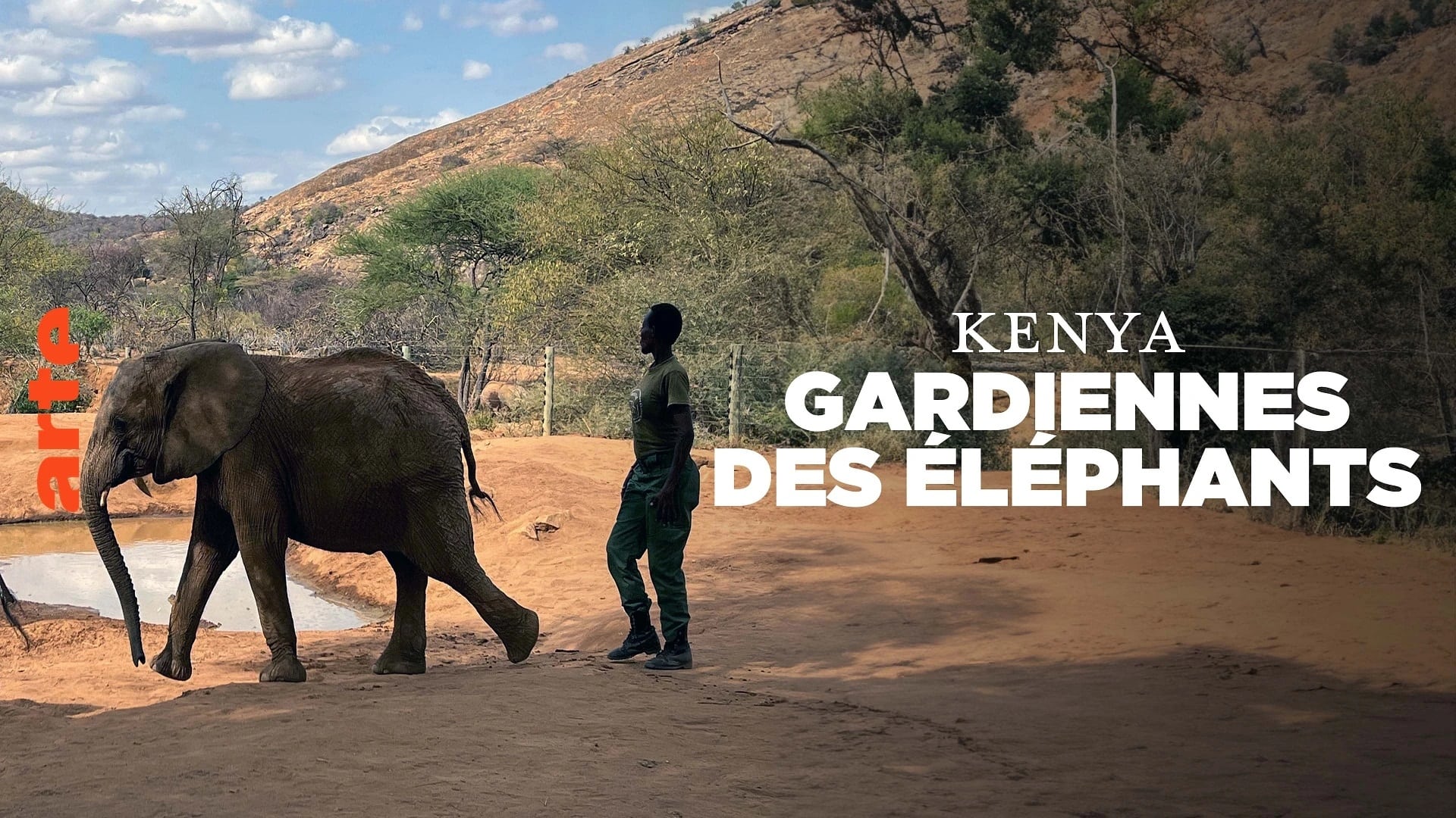 Elephant Guardians of Kenya|Elephant Guardians of Kenya
