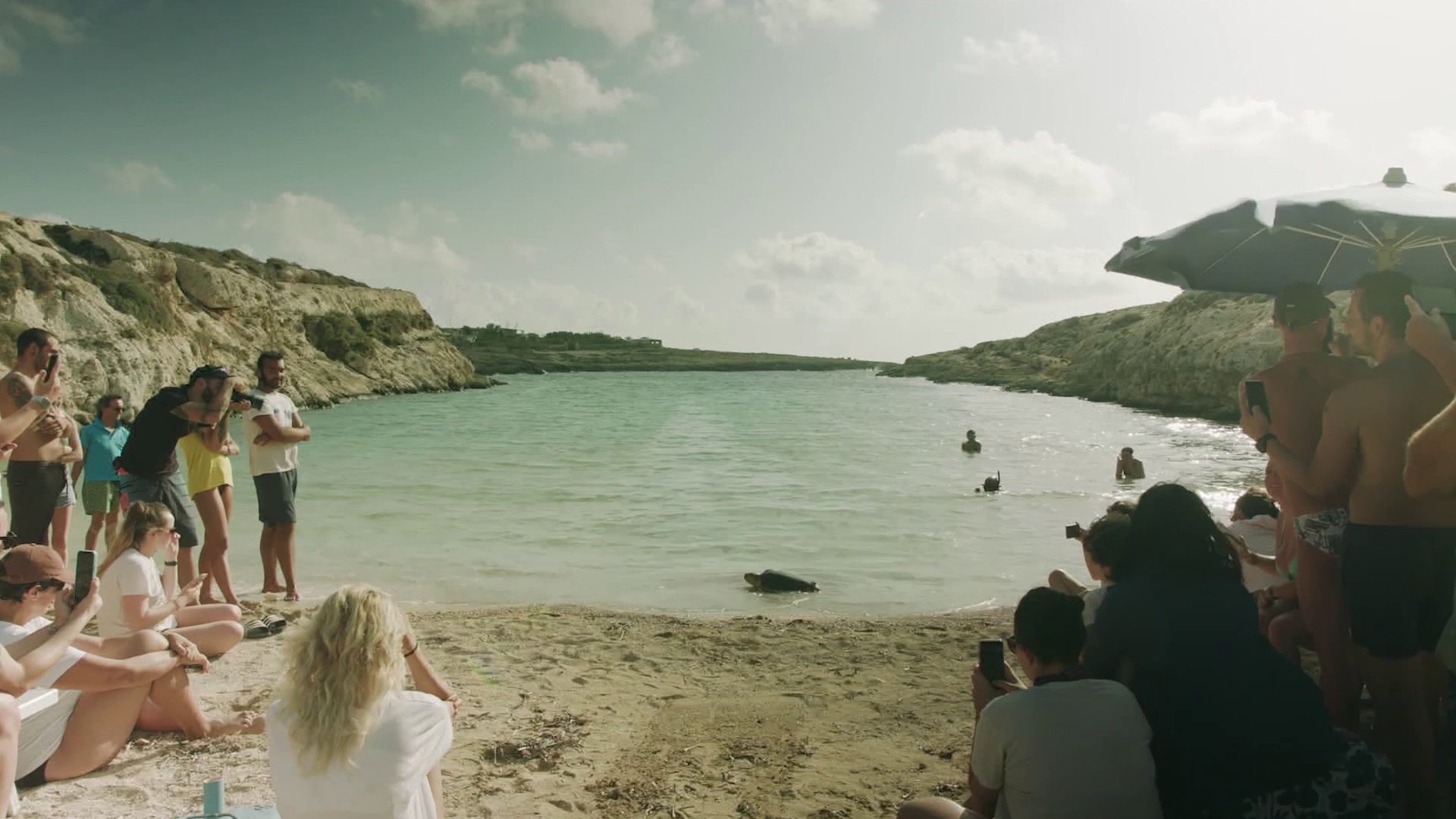 L'ultima isola|L'ultima isola
