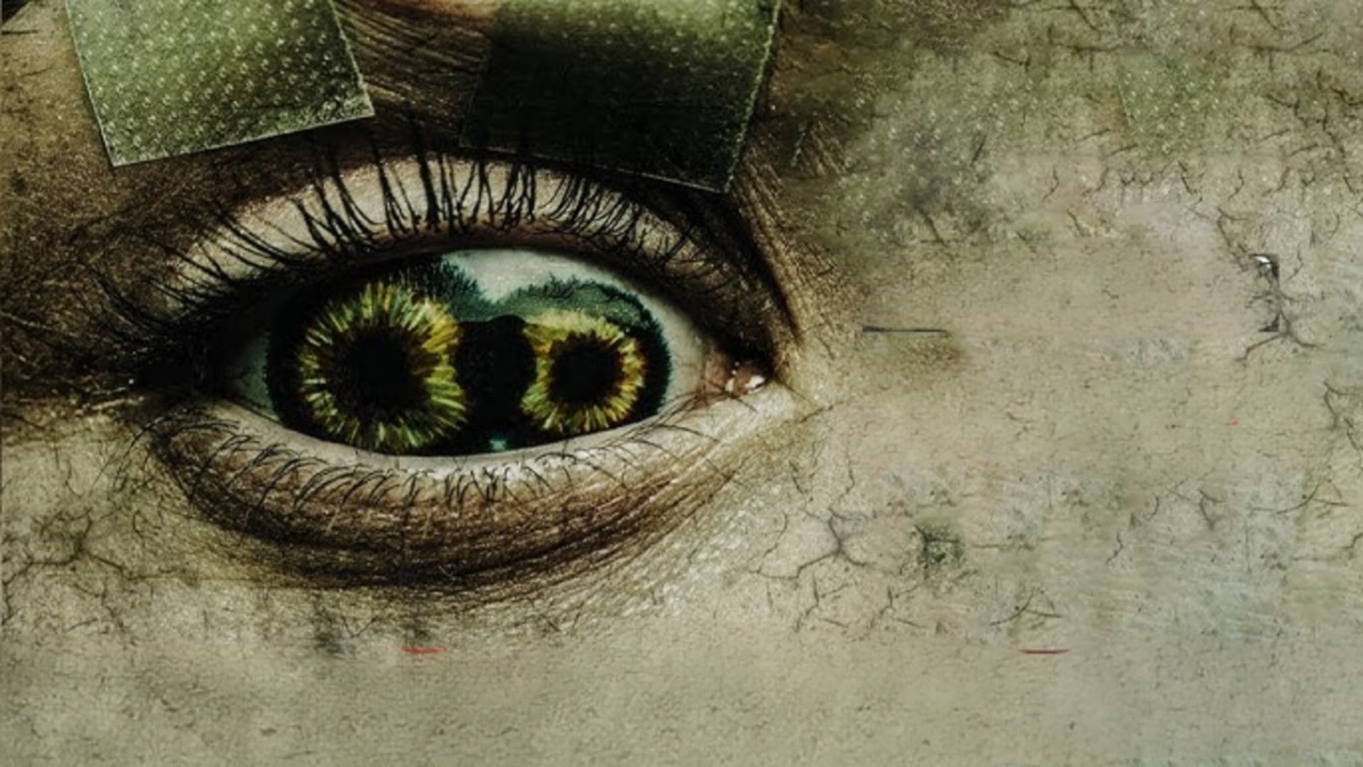 Never Blink|Never Blink