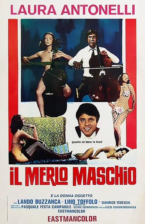 Il merlo maschio