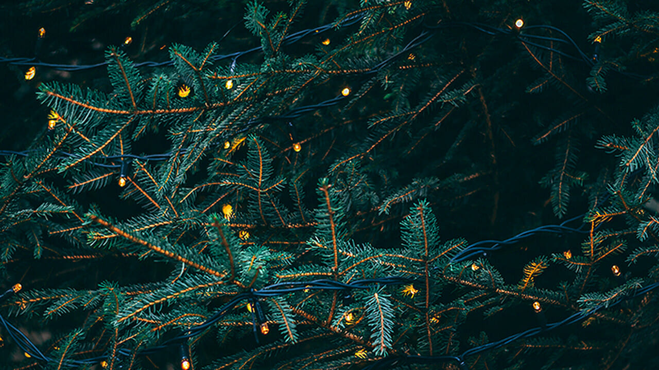 Christmas Lights|Christmas Lights