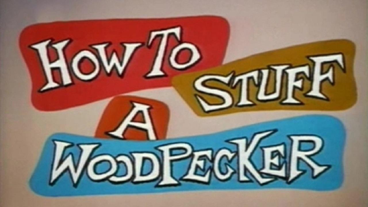 How to Stuff a Woodpecker|How to Stuff a Woodpecker