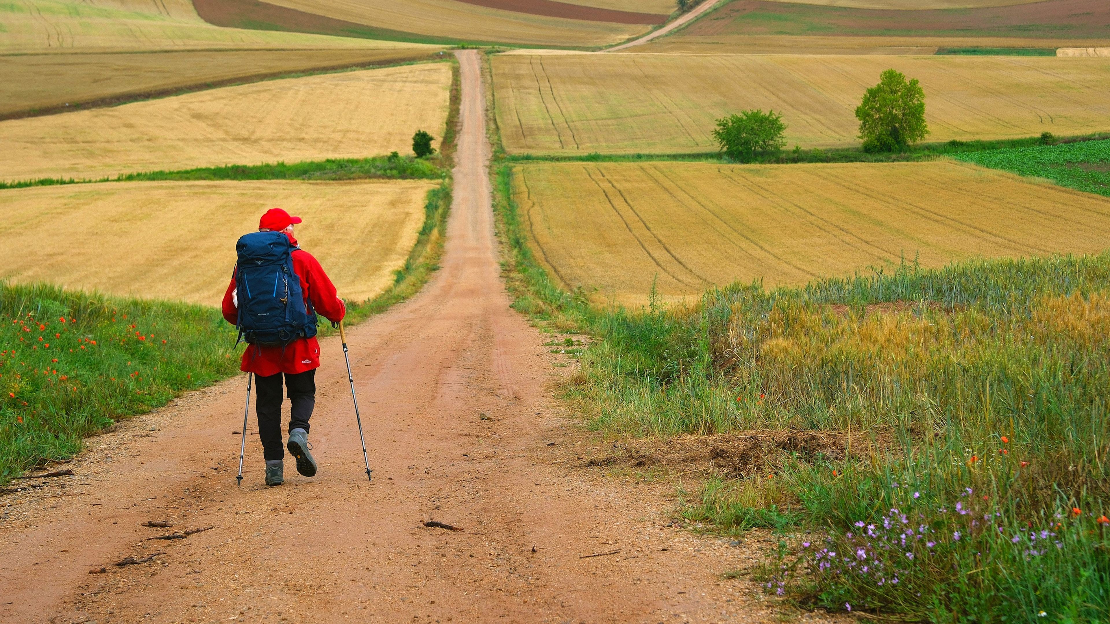 The Way, My Way|The Way, My Way