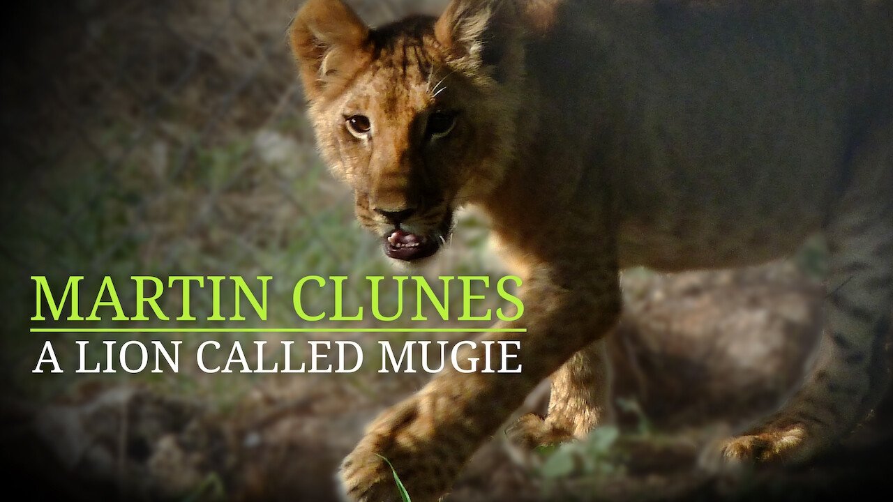 Martin Clunes & a Lion Called Mugie|Martin Clunes & a Lion Called Mugie