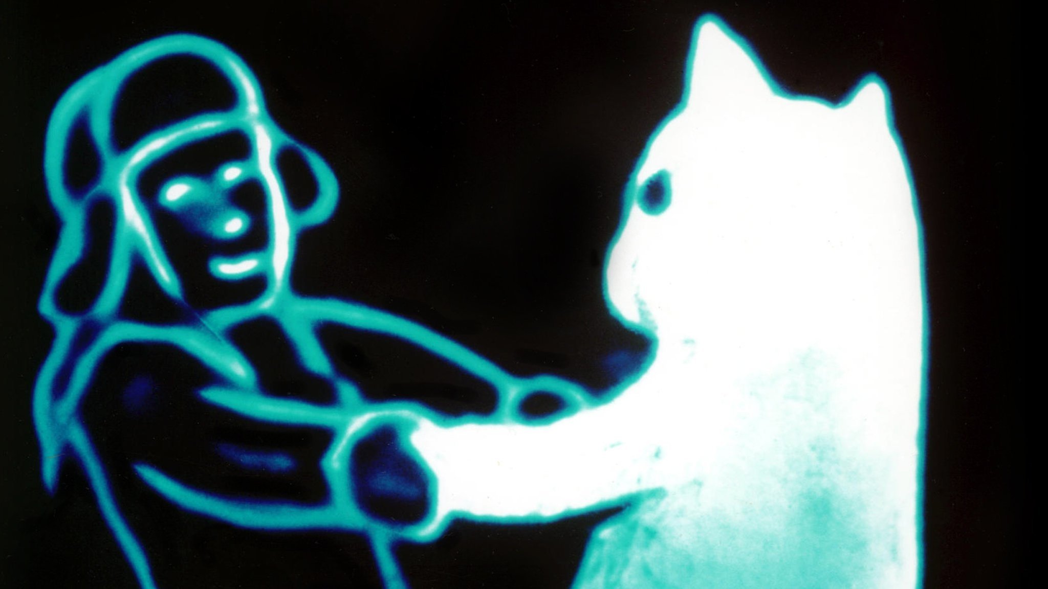 Snow Cat|Snow Cat