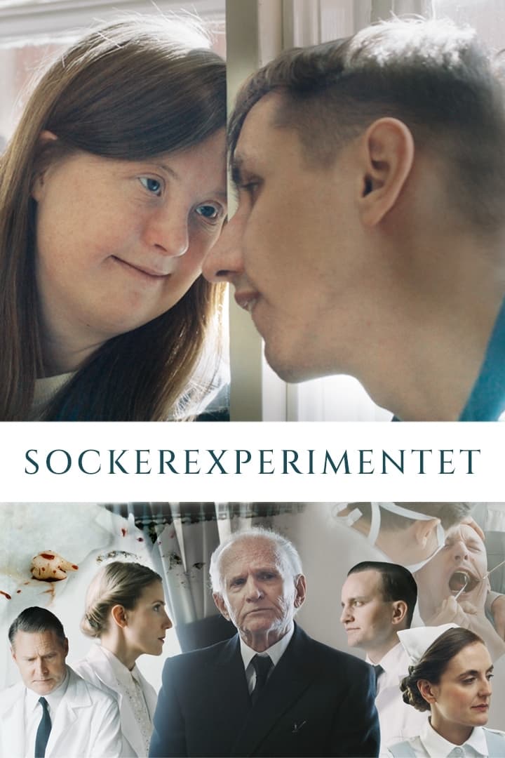 Sockerexperimentet | Sockerexperimentet