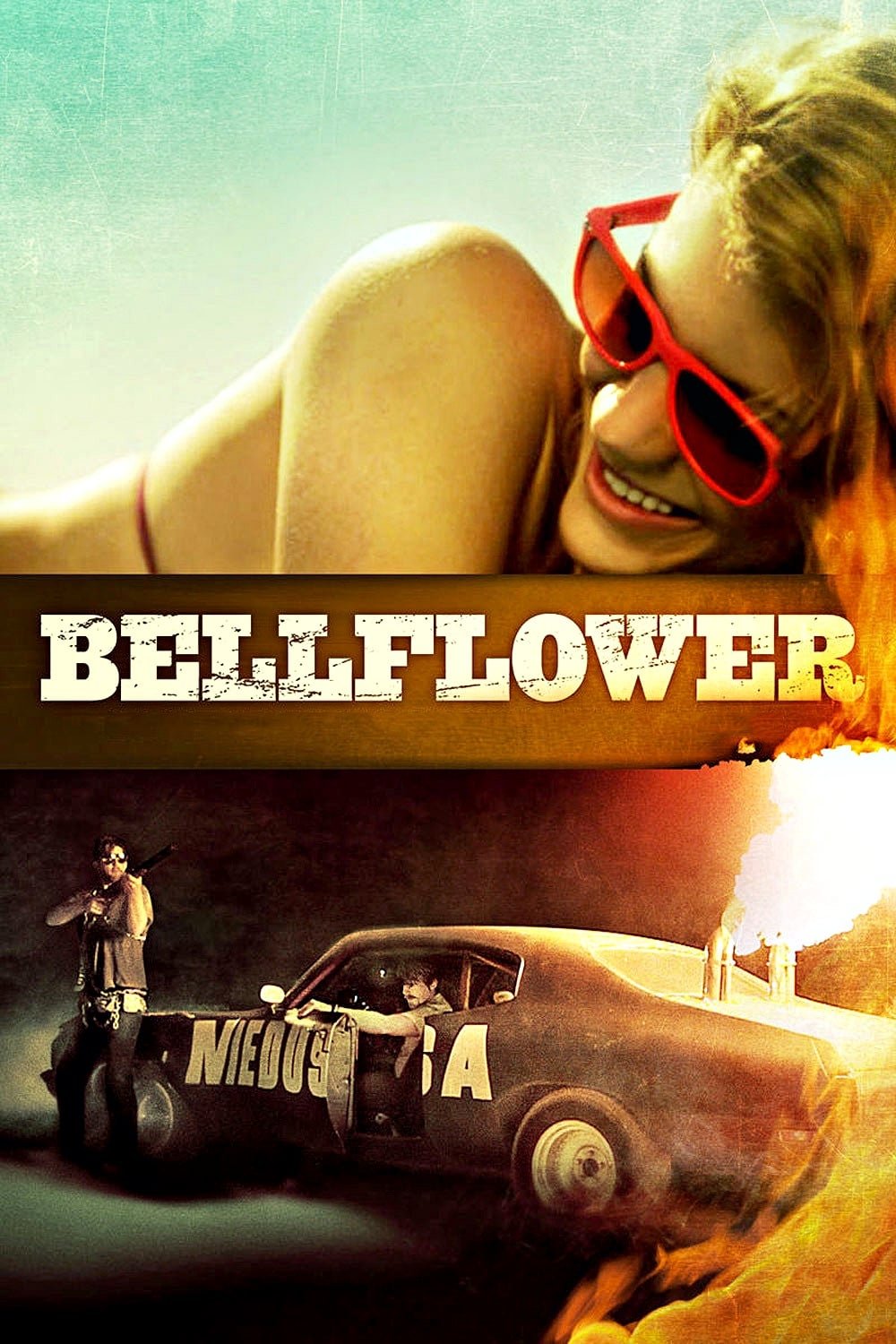 Bellflower | Bellflower