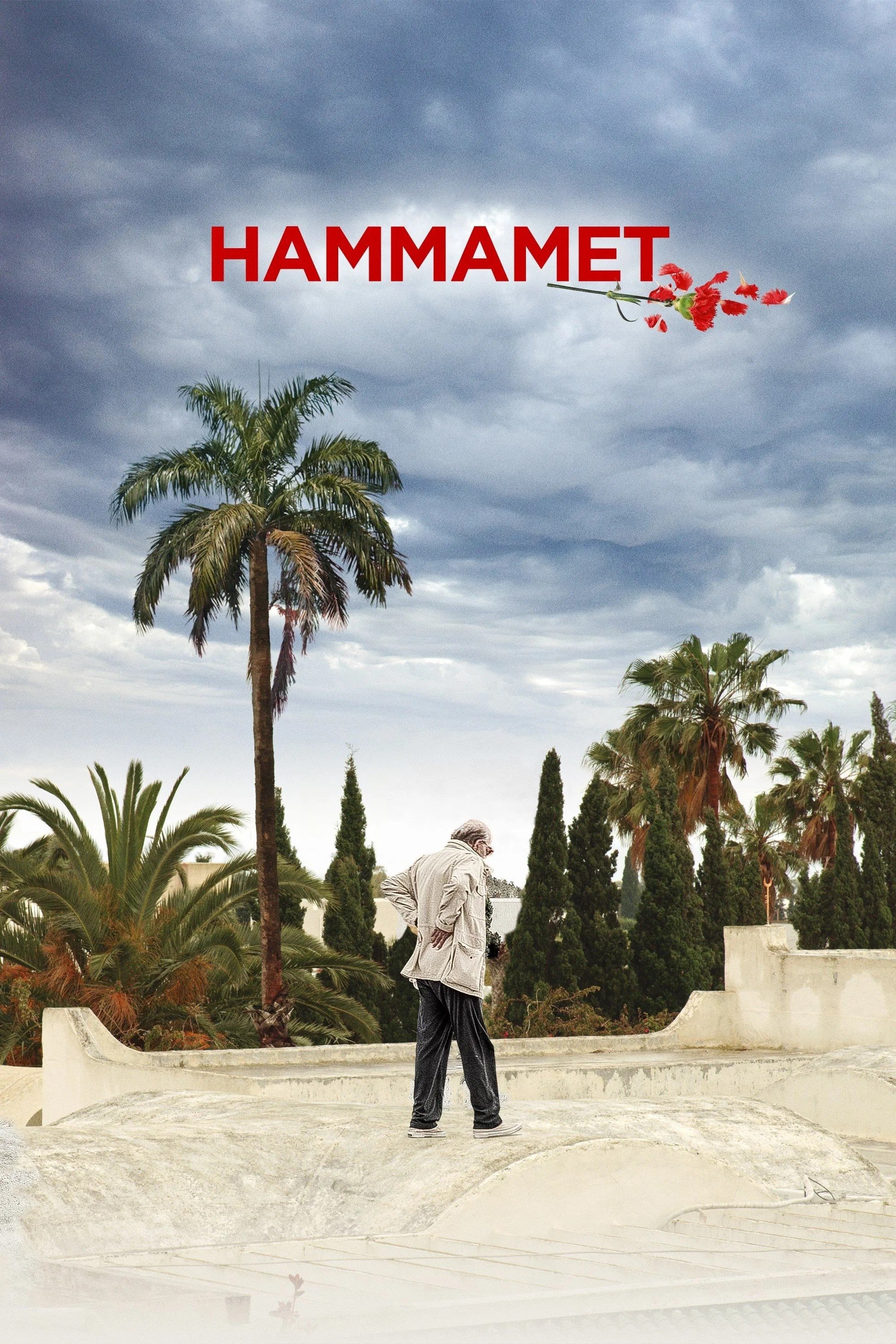Hammamet | Hammamet