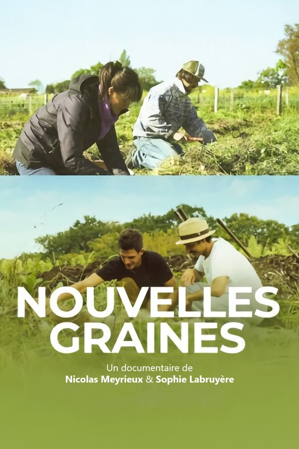 Nouvelles graines | Nouvelles graines