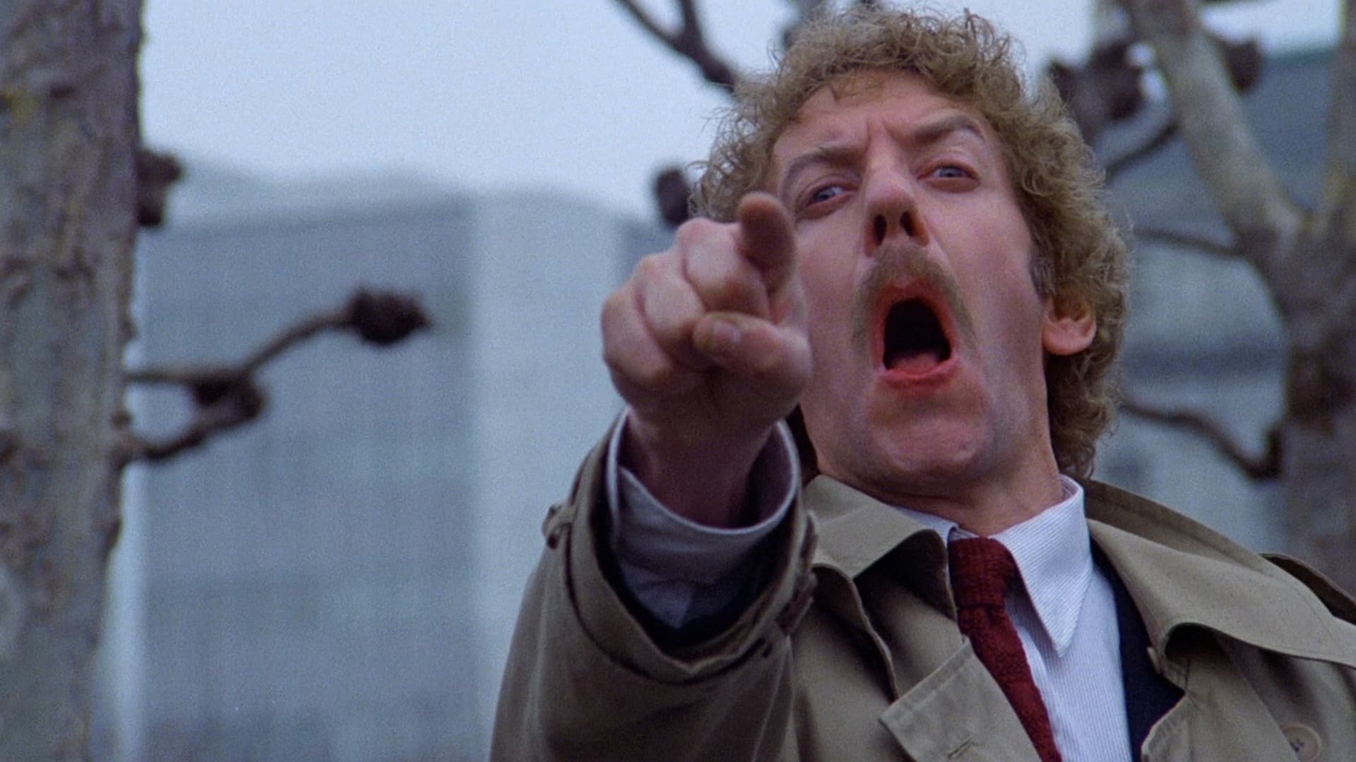 Invasion of the Body Snatchers|Invasion of the Body Snatchers