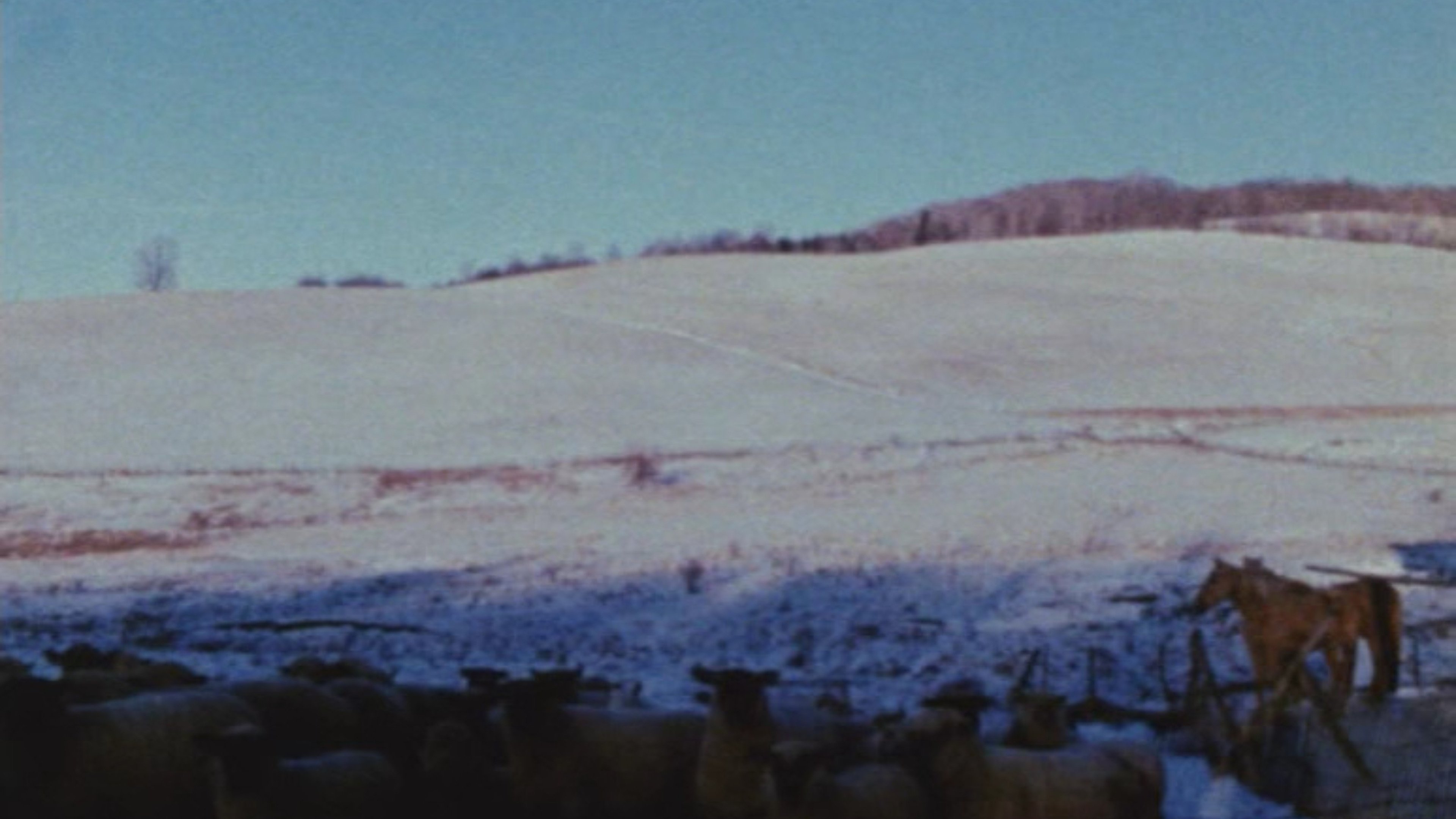 Horizons|Horizons