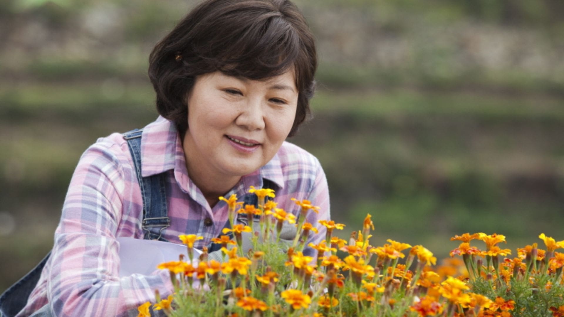 고봉실 아줌마 구하기|고봉실 아줌마 구하기