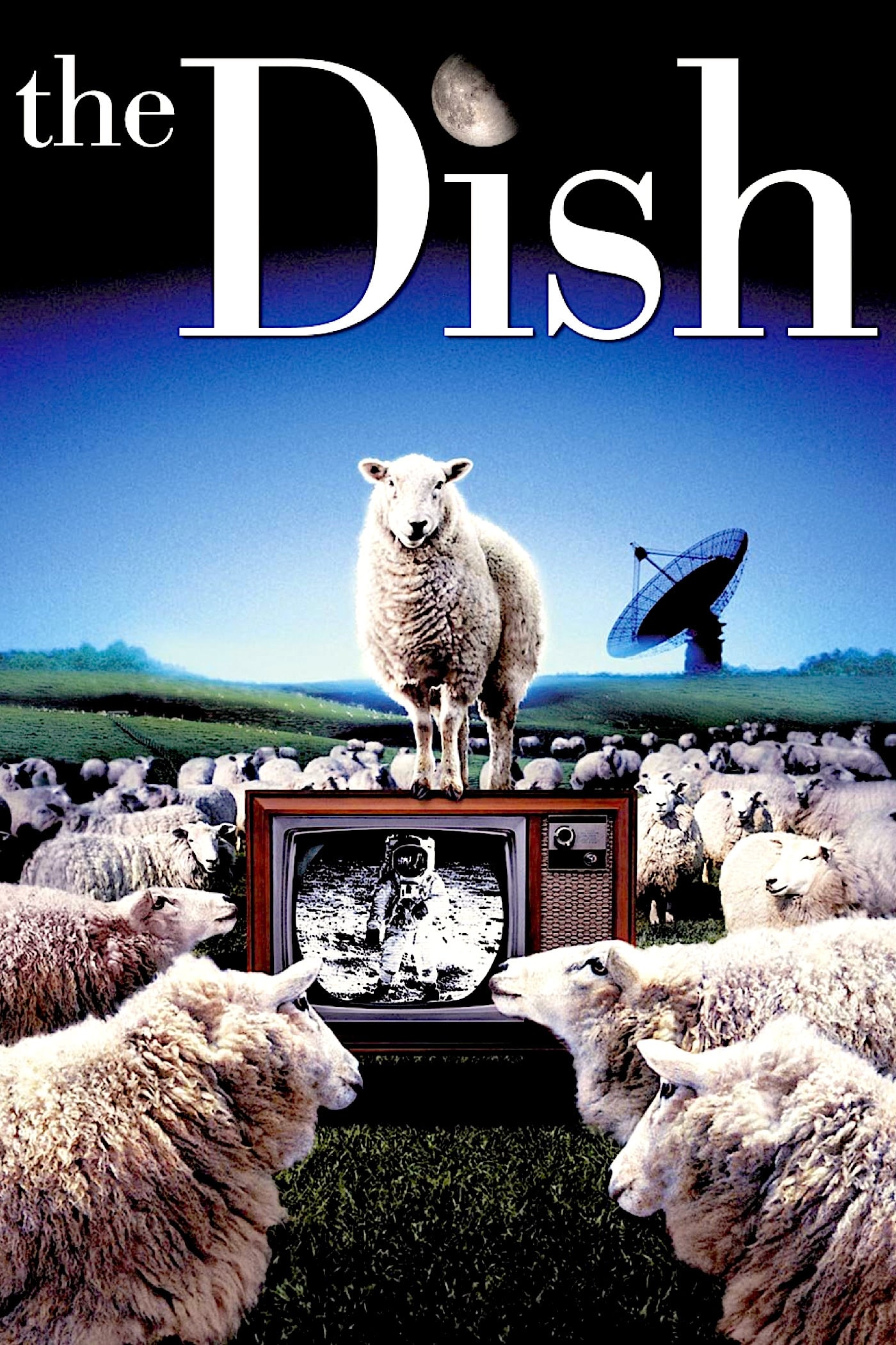 The Dish | The Dish