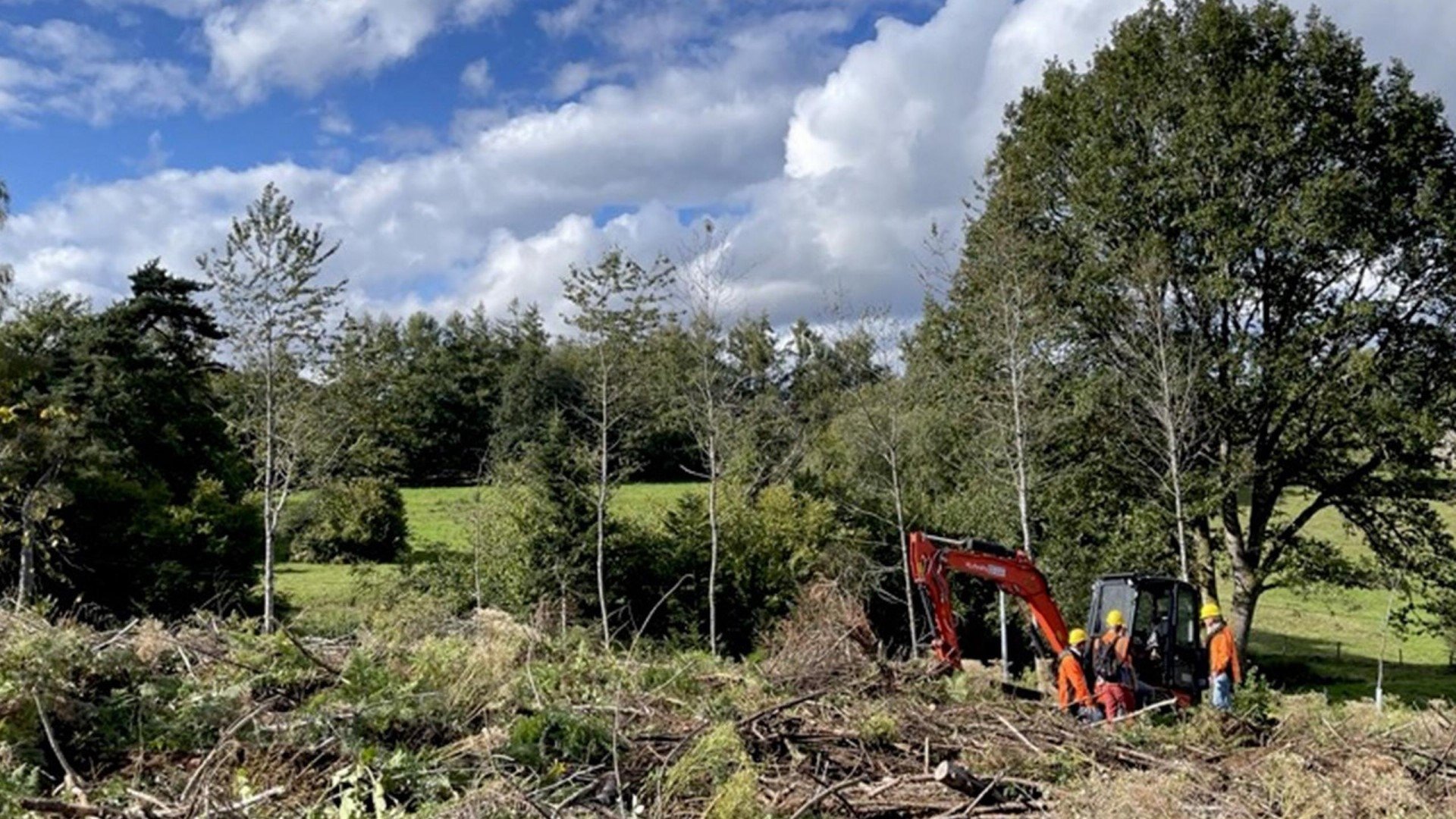 Forêts françaises en quête d'avenir|Forêts françaises en quête d'avenir