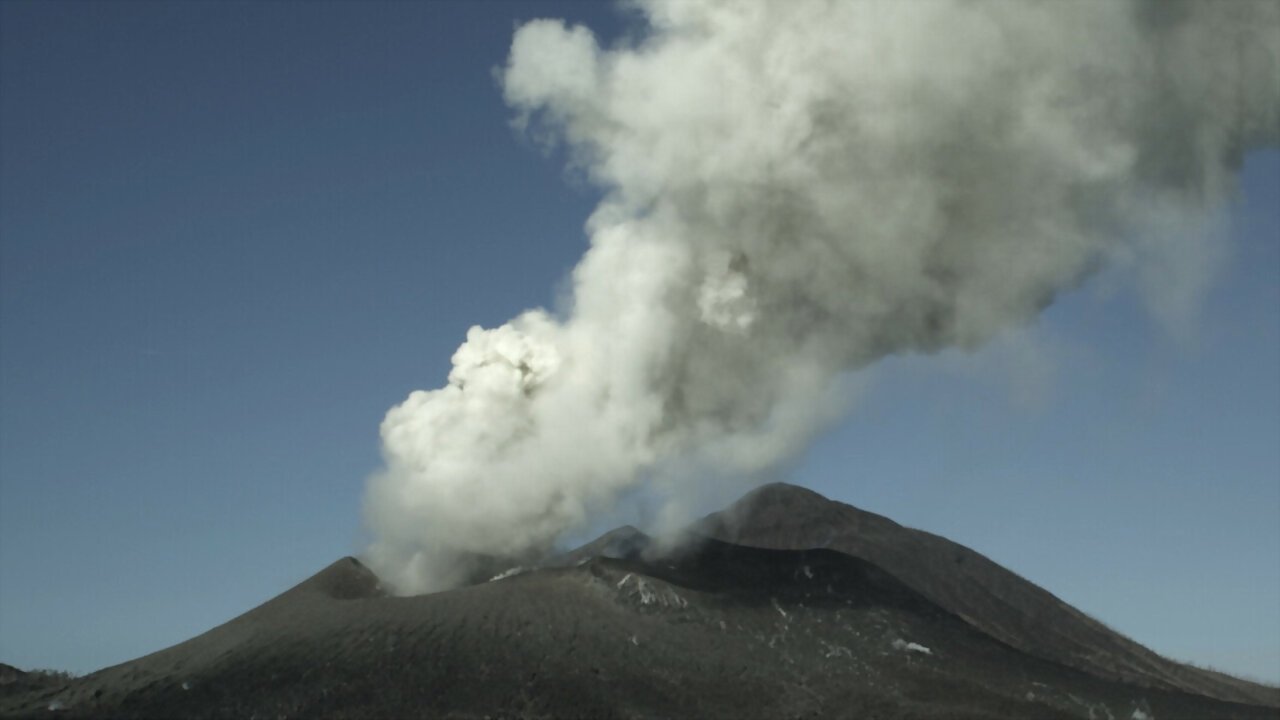 Survivre aux catastrophes, les stratégies de la nature|Survivre aux catastrophes, les stratégies de la nature