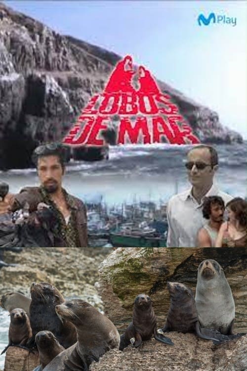 Lobos de mar | Lobos de mar